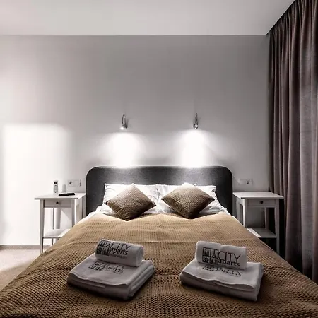 Aparts Kulisha Str * Lviv